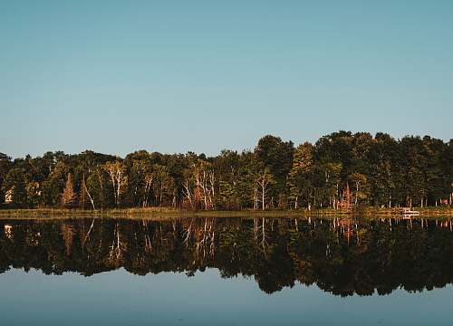 united states body of water beside trees during daytime 